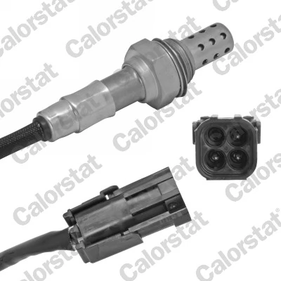 Oxygen Sensor